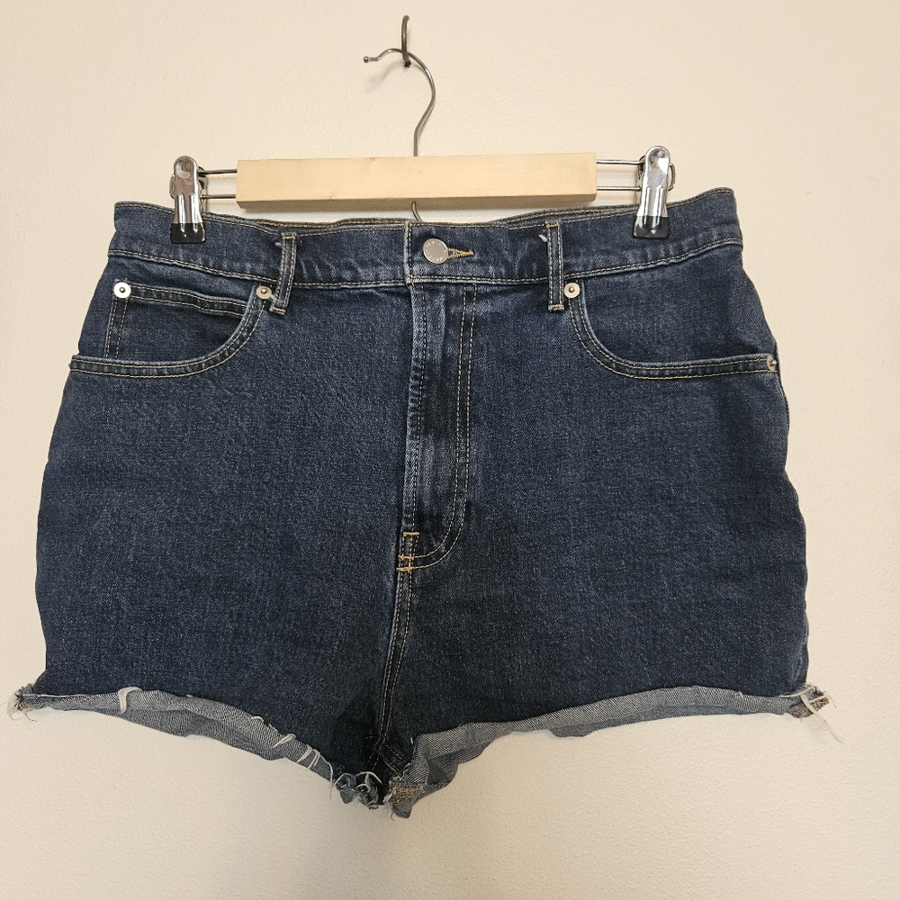 Everlane The Way-High Denim Short Size 30